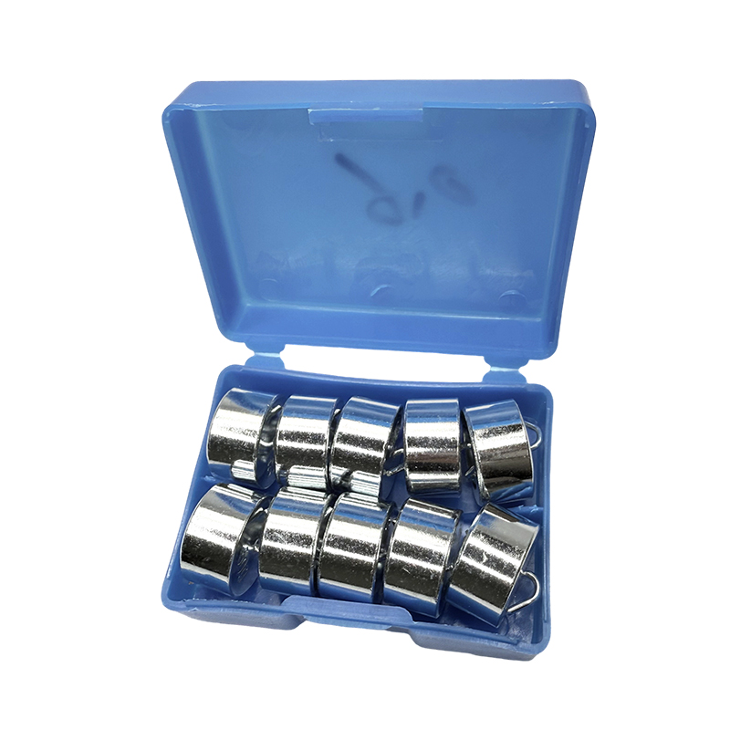 Obrazovni set utega sa zakačenim utezima 50gx10PCS/školski laboratorijski instrumenti za fiziku, znanstveni eksperimenti i set za podučavanje