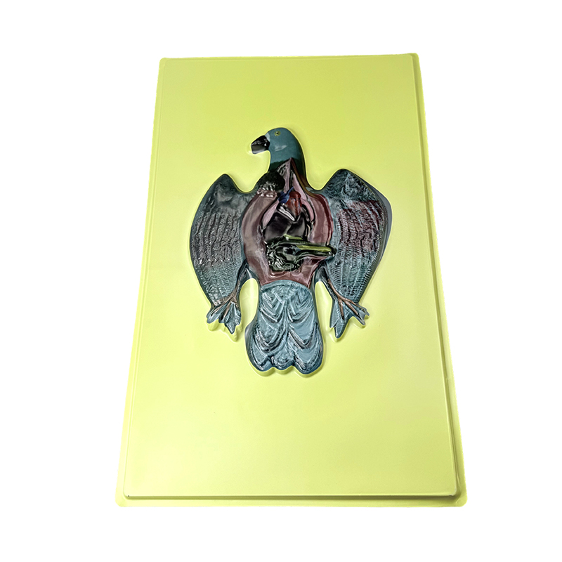 Reljefni model goluba